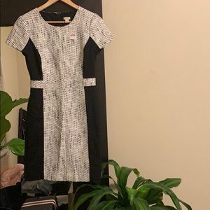 J crew Factory short sleeve pencil dress